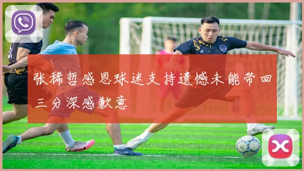 张稀哲感恩球迷支持遗憾未能带回三分深感歉意